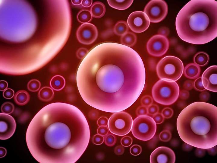 Coaching d'organisation